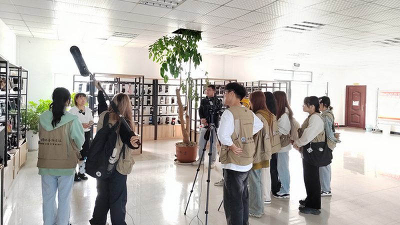 影视后期与二维动画制作：本质差异与制作流程解析