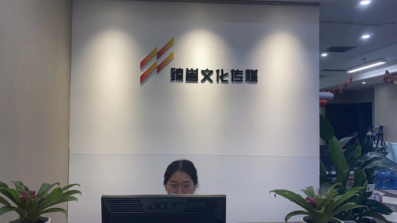 mg动画配音价格揭秘：影响因素与选择要点